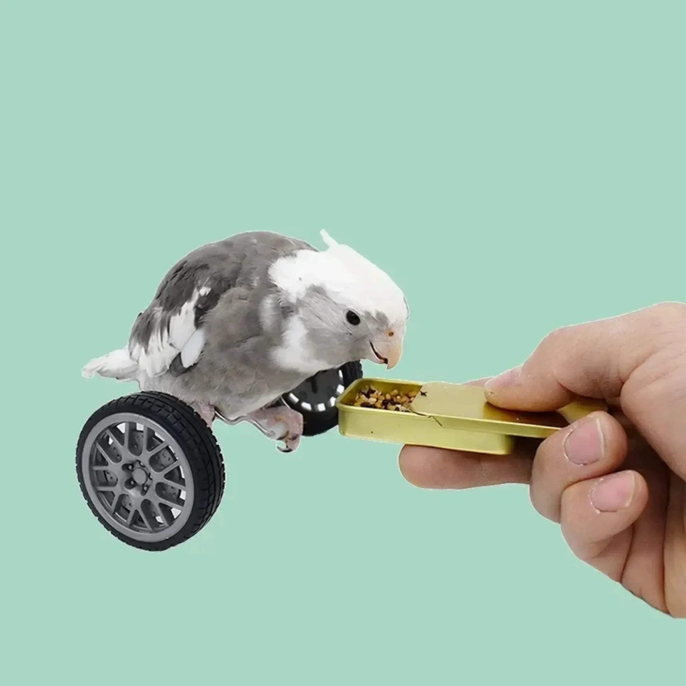 Juguetes para loros grandes, bicicleta, juguete de equilibrio de aves, Mini patines de doble fila, juguetes de entrenamiento para pájaros pequeños, ruedas giratorias, bicicleta para pájaros