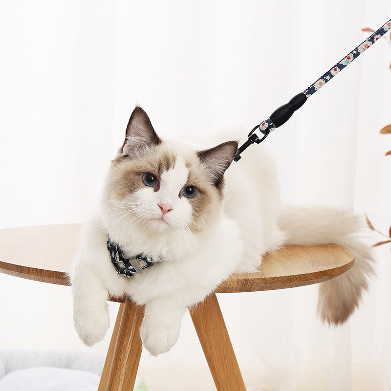Japanese style cat harness traction rope chest harness for walking cat rope gatos chain cat accessories arnes gato kitten collar