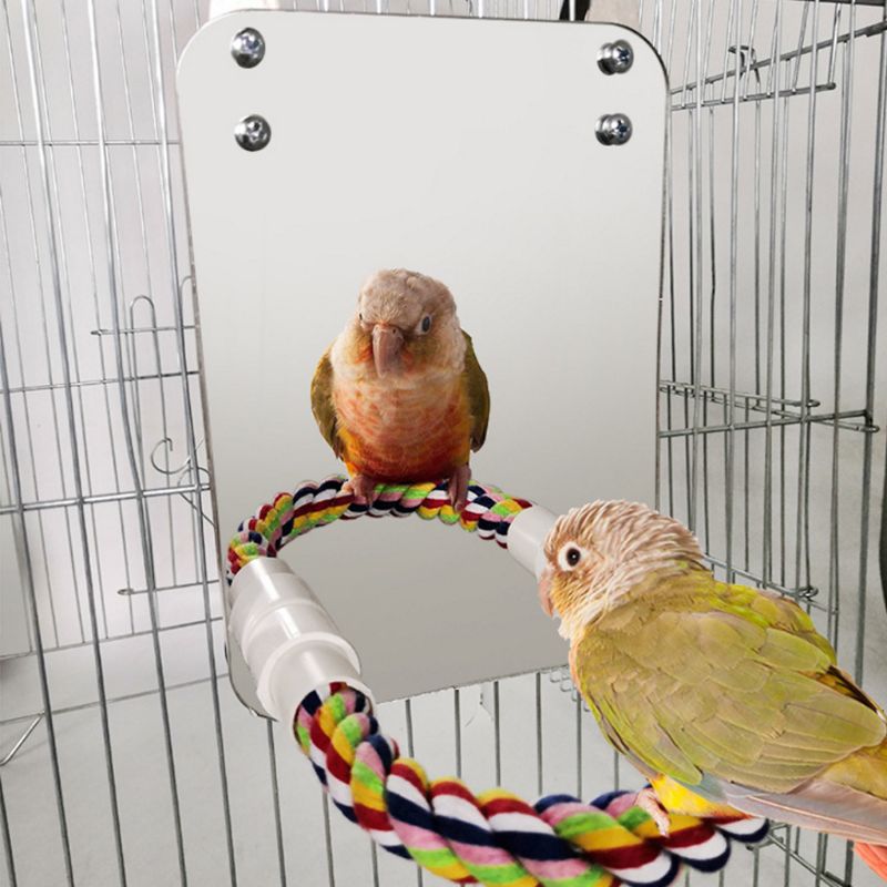 UOCAI 3 stuks roestvrijstalen vogelspies, kippengroentespies