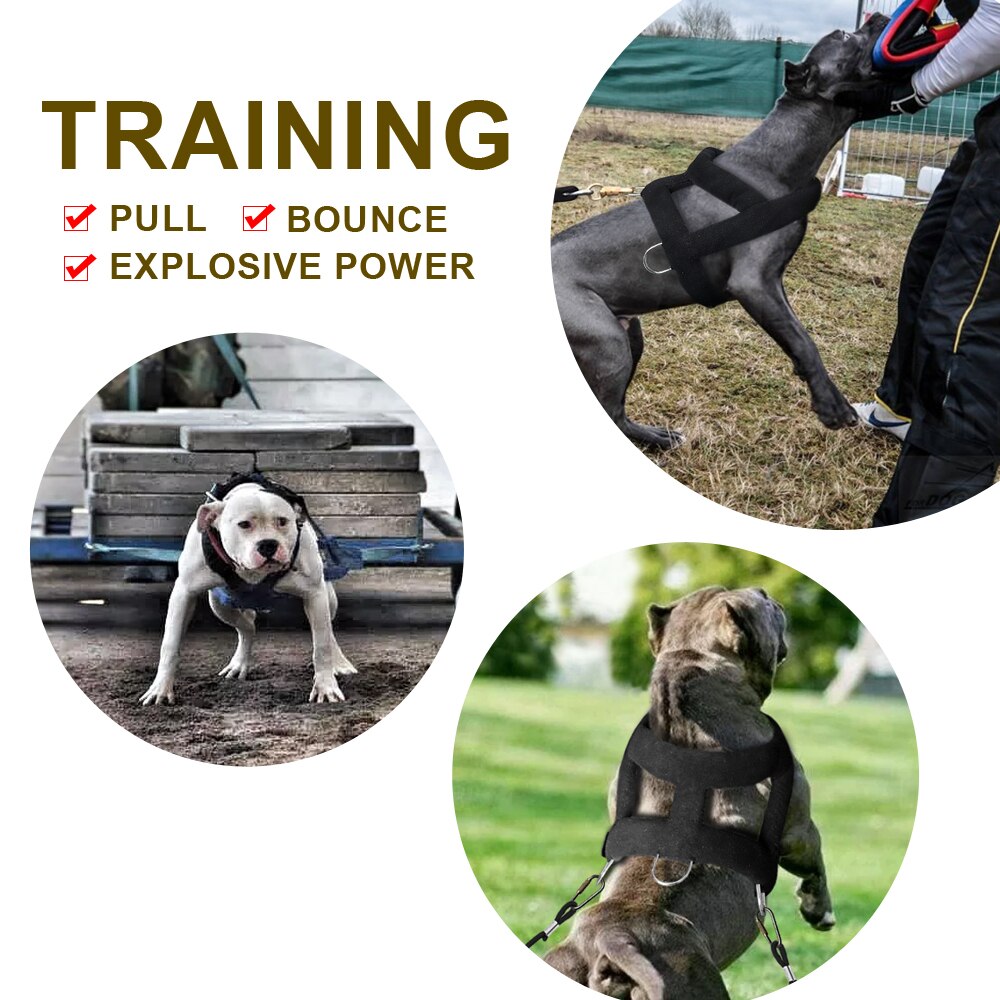 Dog Weight Pulling Harness Soft Padded Dogs Harnesses Pitbull Big Large Dogs Training Harness Pet Agility Products