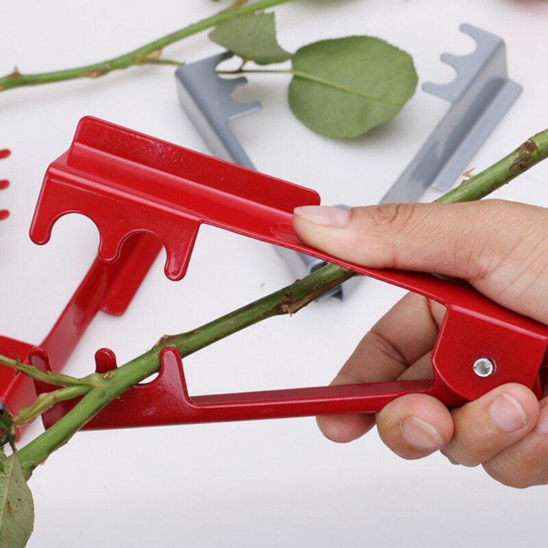 ¡Novedad! Alicates de rosas, herramienta para el jardín, herramienta de floristería para cortar flores, separador de hojas de tallo de Espina, ramos de poda