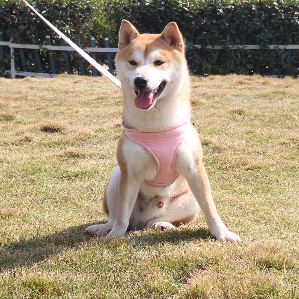 Pet Dog Puppy Reflective Adjustable Outdoor Training Walking Safety Vest Harness