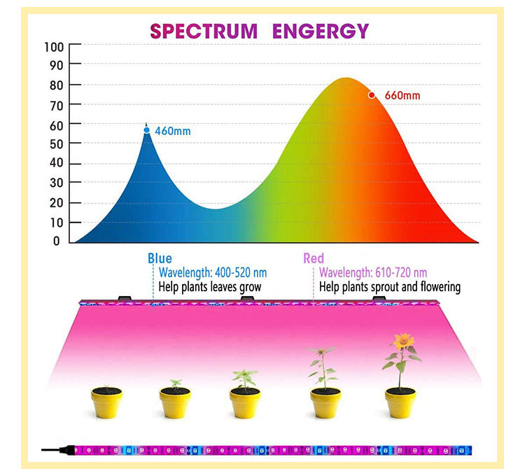 LED Grow Light Full Spectrum 5M Phyto Lamp SMD 5050 Waterproof Growth Lamp For Greenhouse Hydroponic Plant Growing+Power adapter
