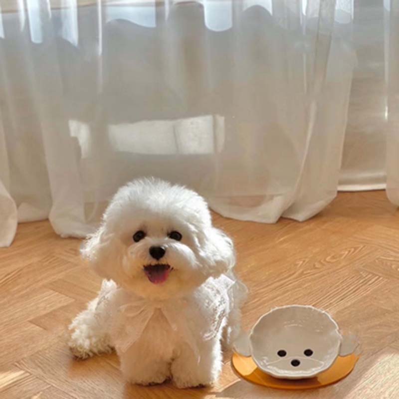 Huisdier Zomer Cooling Sjaal Kat Hond Speeksel Pocket Teddybeer Hond Sjaal Driehoek Sjaal Kant Puppy Speeksel Handdoek Huisdier Accessoires