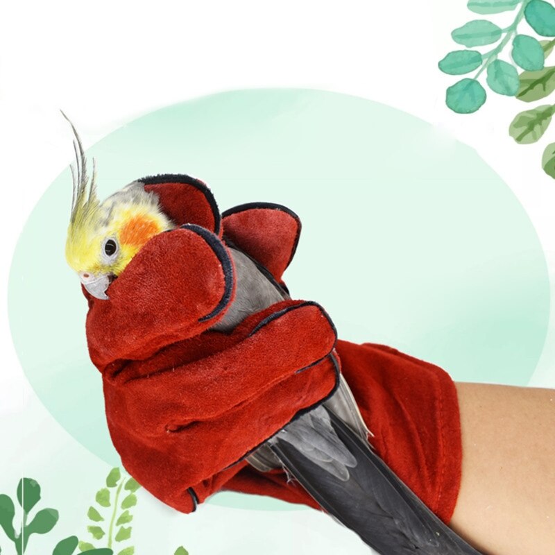 Vogel Training Anti-Bite Handschoenen Papegaai Kauwen Werken Veiligheid Beschermende Handschoenen 27RF