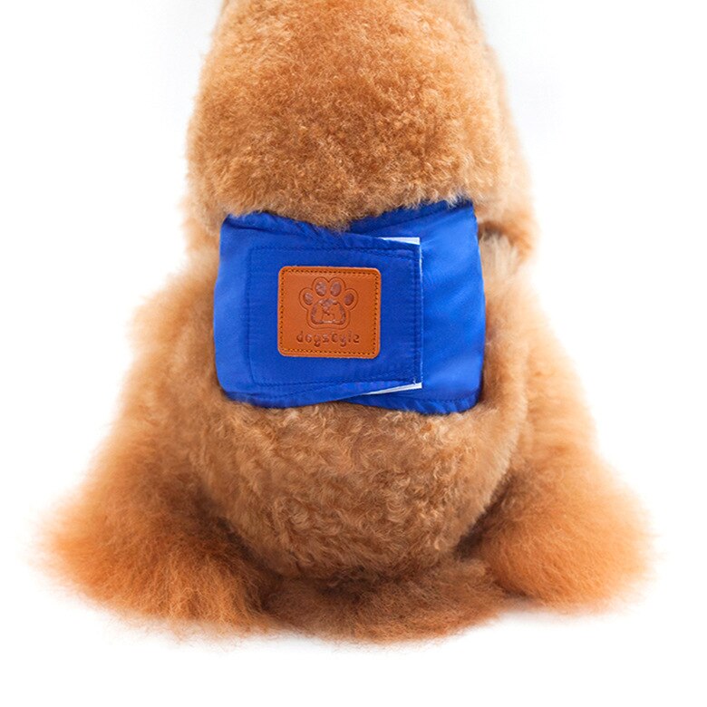 Reusable Washable Dog Shorts Dog Diaper Sanitary Physiological Pants Durable Comfortable Stylish Dog Pants Wraps for Male Dogs: Blue / M