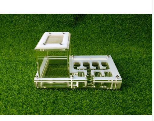 Transparante Mier Behuizing Nest Insect Kooi Boerderijen Feed Acryl Display Trapezium Box Ant Villa Kleine Huisdier Kooien Kid Educatief Speelgoed: white