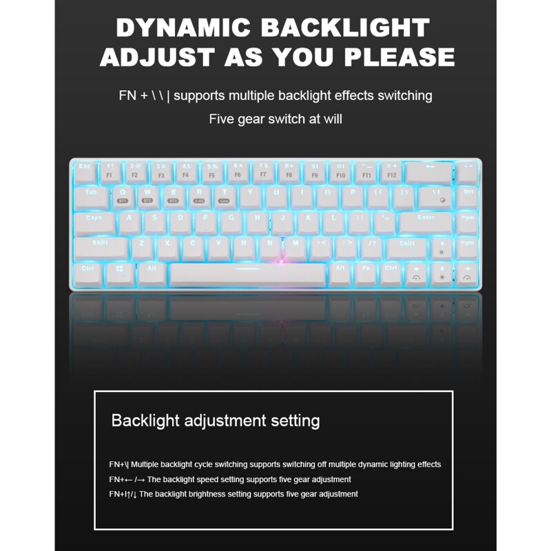 Ricaricabile Bluetooth 5.0 Wireless/2.4G USB Wired Dual-Mode RGB
