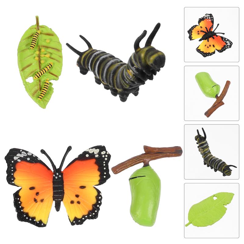 4pcs Funny Insect Life Cycle Figurines Butterflies Ornaments for Kids Playing