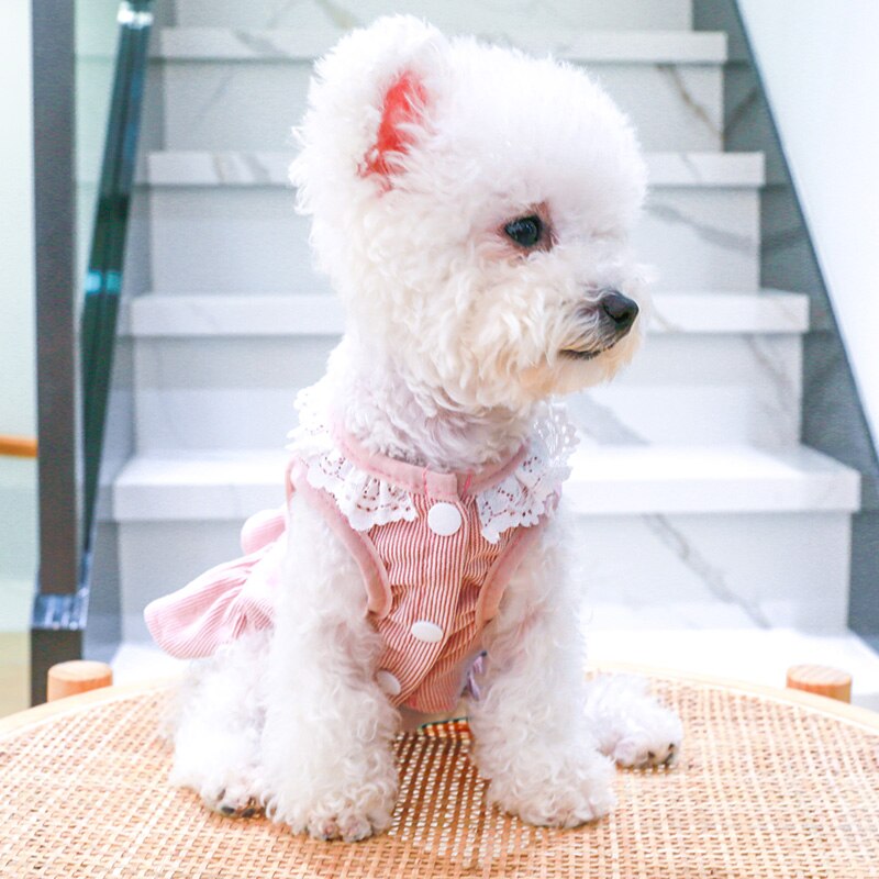 Petcircle roupas para cães bonito coelho cinta no peito vestido para pequeno cão filhote de cachorro pet cat todas as estações traje para animais de estimação roupas camisa pijamas