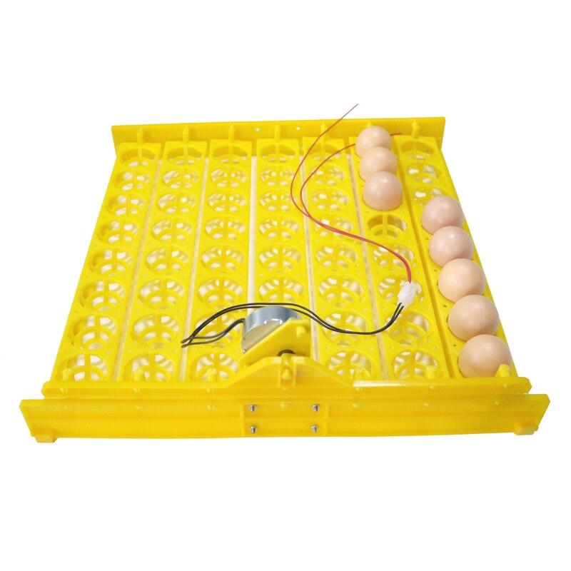 Incubadora automática de 56 huevos, 7*8 orificios, incubadora de pollos, patos y otras aves de corral, huevos, aves de corral, equipo de incubación