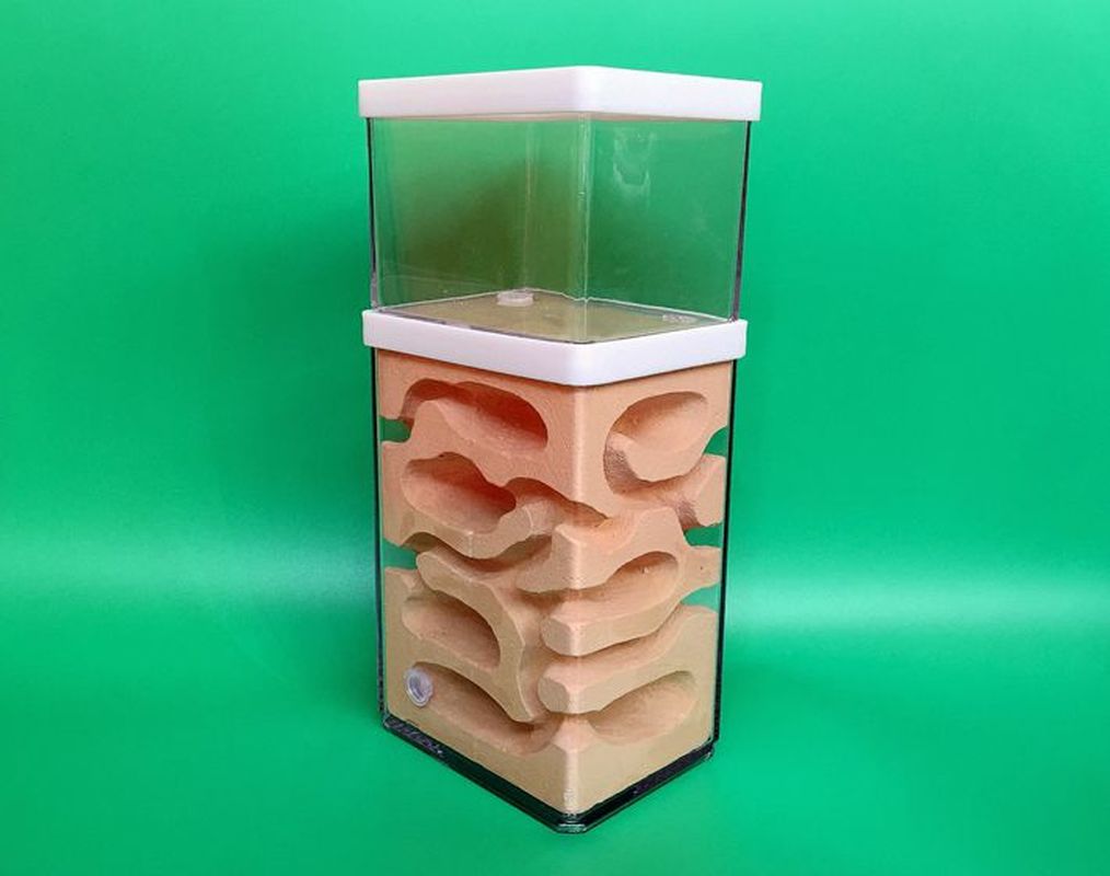 Fourmilière en plâtre avec zone d&#39;alimentation WY707, ferme à fourmis naturelle, grand nid , château d&#39;insectes, atelier pour animaux de compagnie, fourmilière