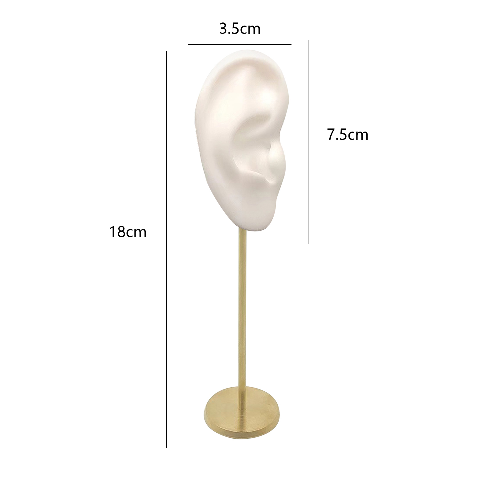 Soportes de exhibición duraderos para pendientes, modelo de oreja humana, soporte para perno prisionero, Base redonda de silicona suave, soporte para maniquí de cumpleaños, organizador de pendientes: Transparente