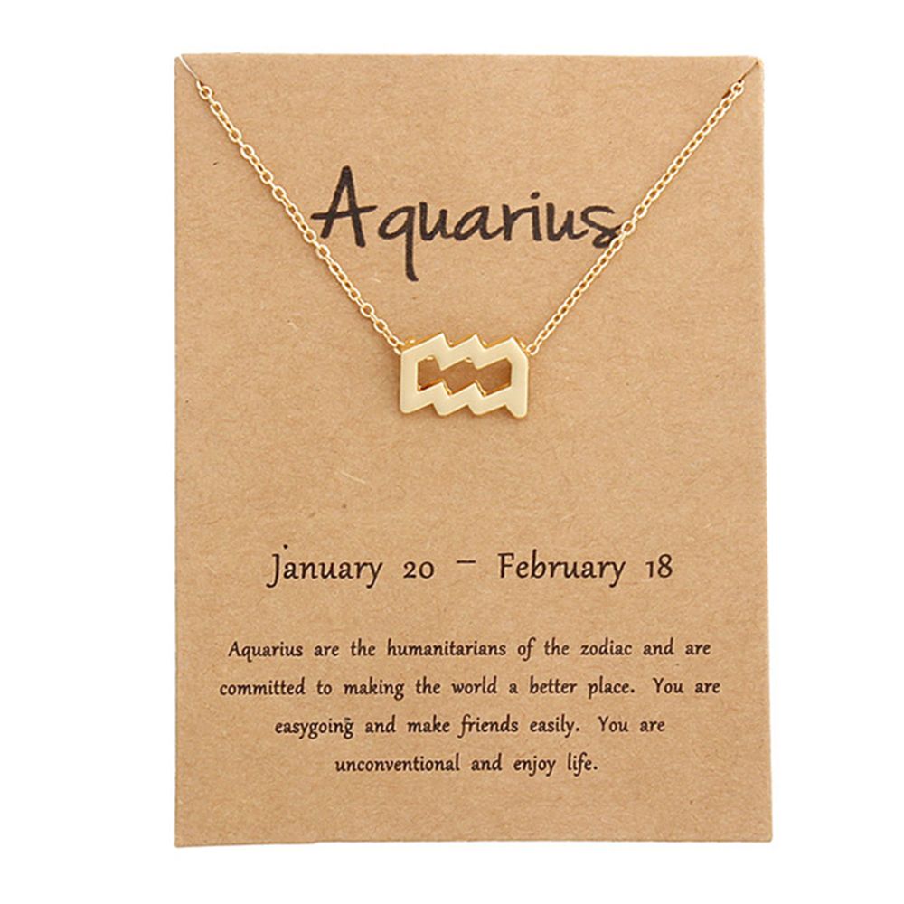 12 Constellation Pendant Necklace Zodiac Sign Necklace Birthday Message Card for Women Girl Jewelry Arrivals: Aquarius