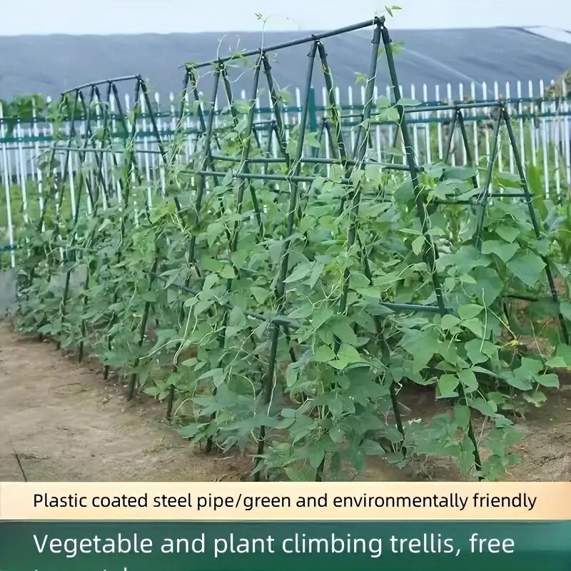 "Stevige Groei" 20-Pack Multifunctionele Plantenondersteunende Stakes-Duurzame Groente-En Wijnstoklatwerk Voor Tomaten, Komkommers, Druiven: Goud