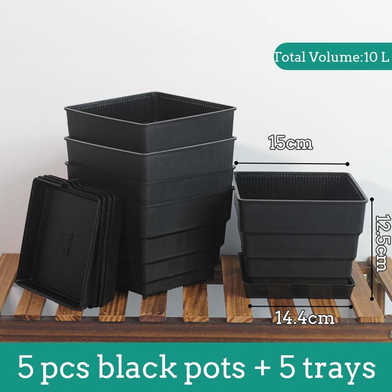 Pot en maille 6cm 7 cm 10 cm 12 cm 15 cm Pots succulents Lithops Jardinière de cactus Pot de fleur en plastique Bon Drainage avec trous d'air: MULTI