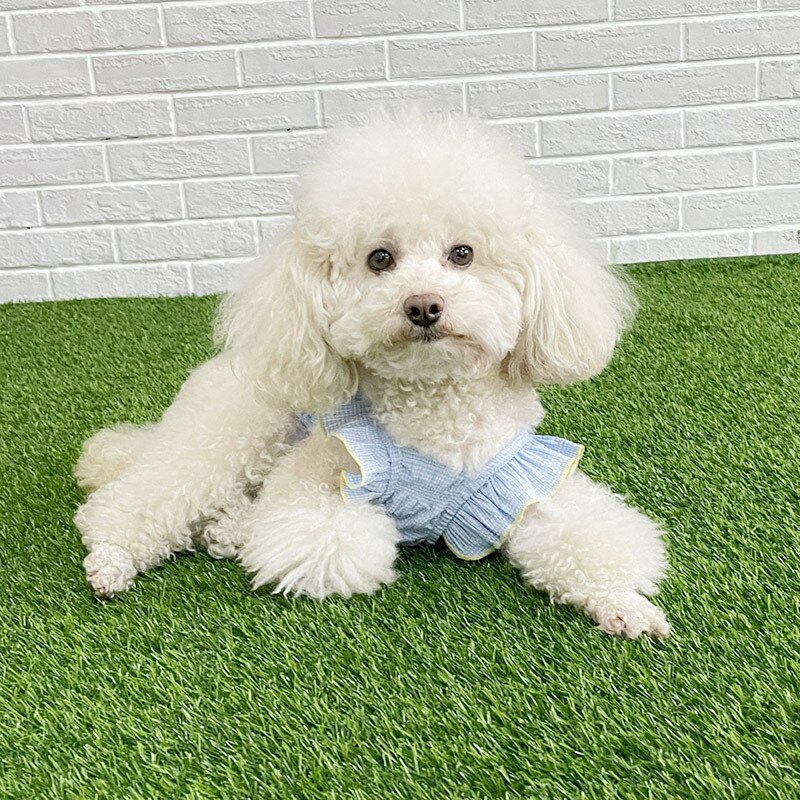 Hond Kleding Zomer Dunne Stijl Bichon Hiromi Theekopje Kleine Hond Puppy Koreaanse Versie Van Het Vest Teddy Lente Zomer Yorkie