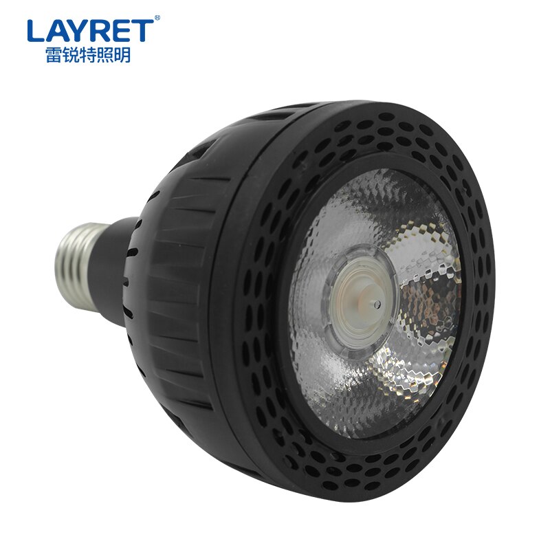 Par30 Lamp Spot Light 36 W AC 165-265 V Warm Wit Natura Wit Koud Wit LED Indoor Spot licht met lens