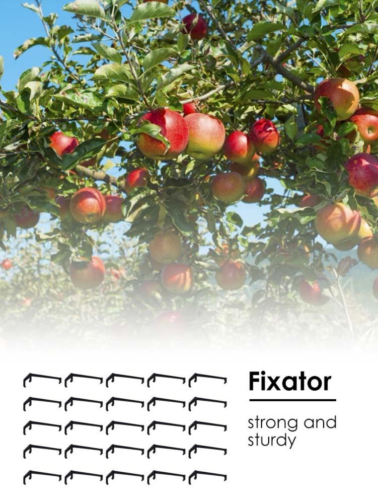 Support de Branches d'arbre fruitiers Support de plante épandeur de Branches de fruits cadre de Support de branche d'arbre pour les Branches d'arbre fruitiers de cour Fixe 25 pièces