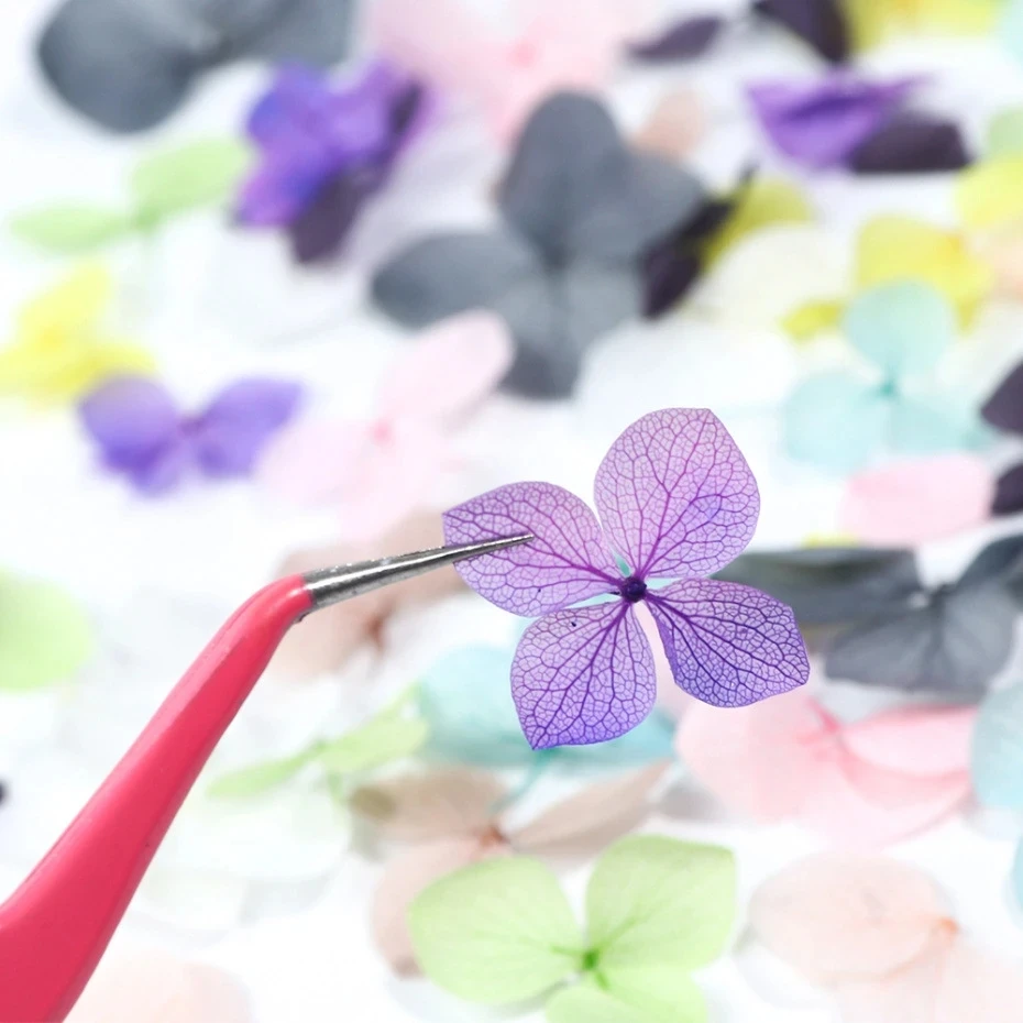Décalcomanies de fleurs séchées 3D pour Nail Art, autocollants floraux naturels, conceptions de fleurs sèches pour N64.Crafts, accessoires de manucure bricolage