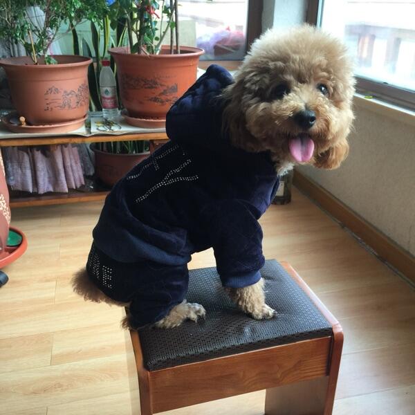 Varm vinter kæledyr hunde tøj hund jumpsuit romper frakke til små hunde tykne kæledyr tøj fleece inde xs -xxl