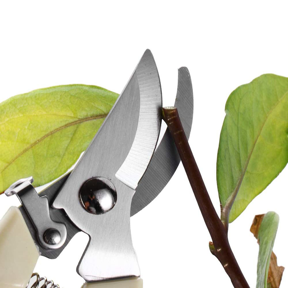 Drtools 17cm Pruner Tree Cutter Gardening Pruning Shear Scissor Stainless Steel Cutting Tools Set Home Tools Anti-slip