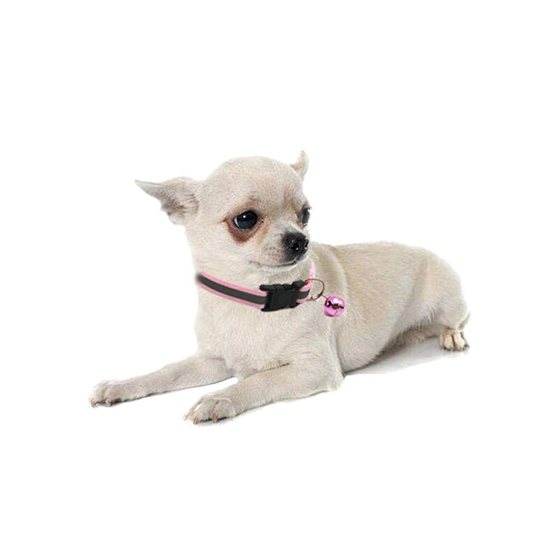 Collier pour chien chat en Nylon sangle cloche collier réfléchissant collier réglable chien chiot collier Pet chat accessoires de laisse en toute sécurité