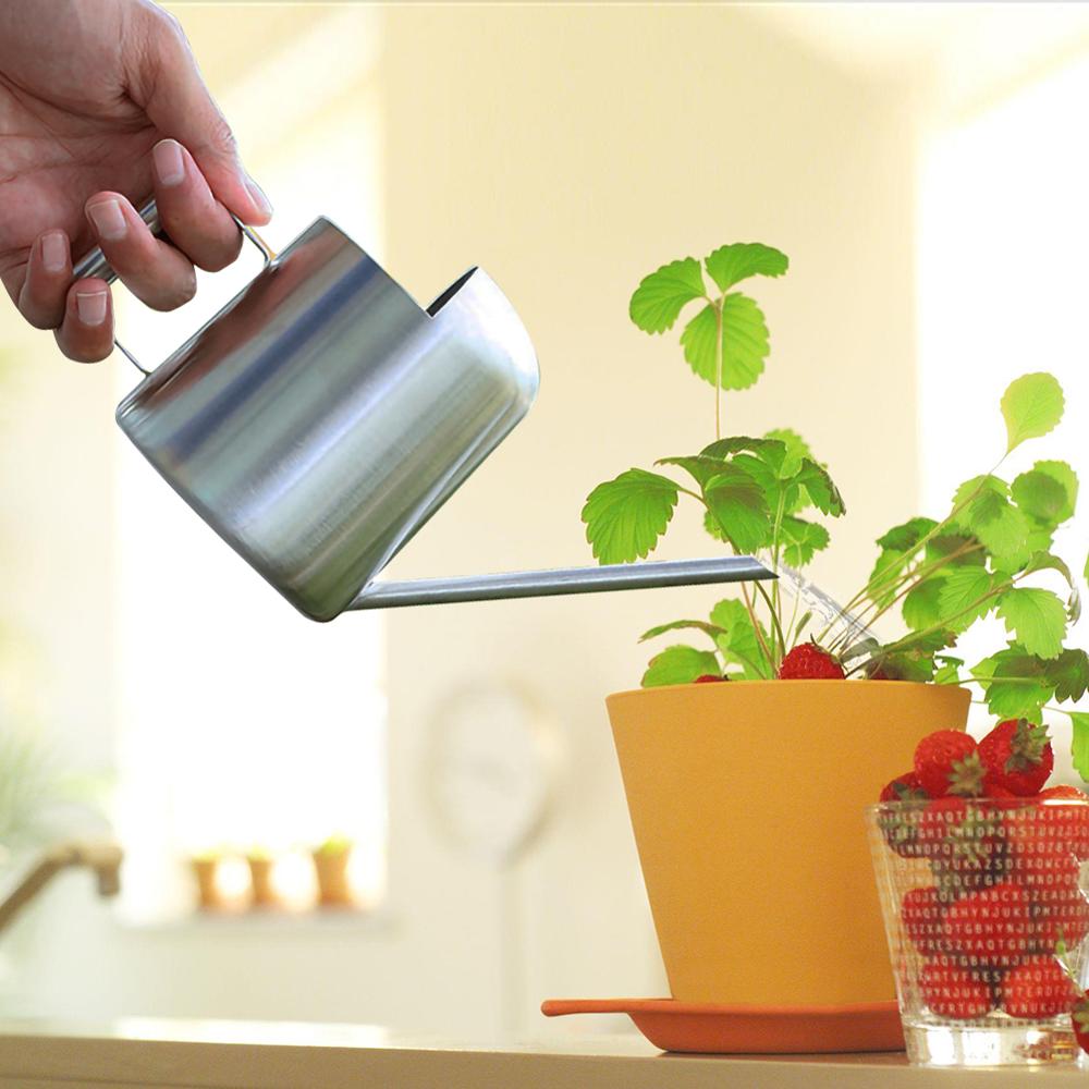 Kleine Gieter, Indoor Rvs Gieter Voor Tuin Planten In Het Huis En Kantoor Planten