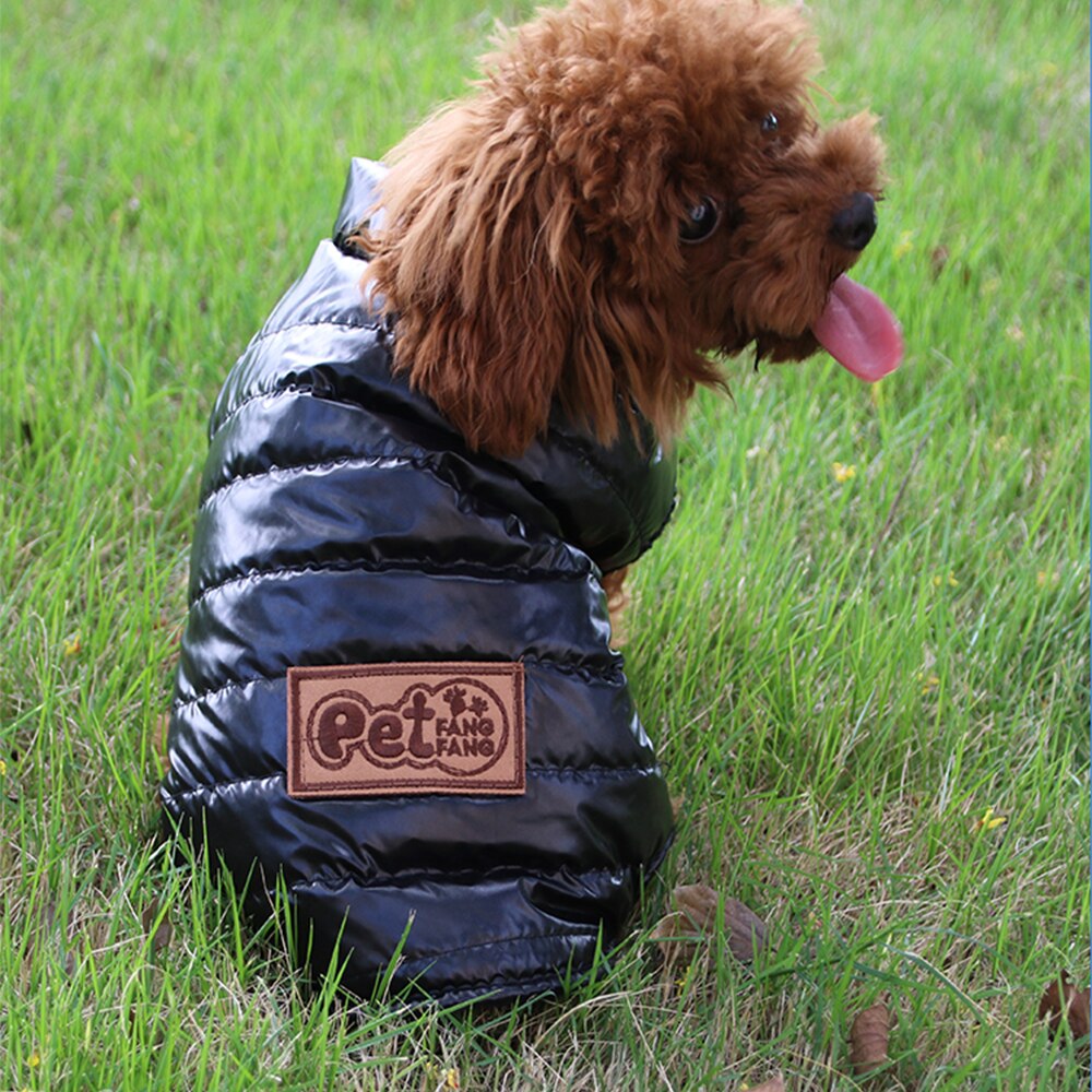 Abbigliamento per cani da compagnia piumino invernale giacca calda cappotto impermeabile abbigliamento per cuccioli per cani di piccola taglia media chihuahua carlino Schnauzer Abrigo Perro