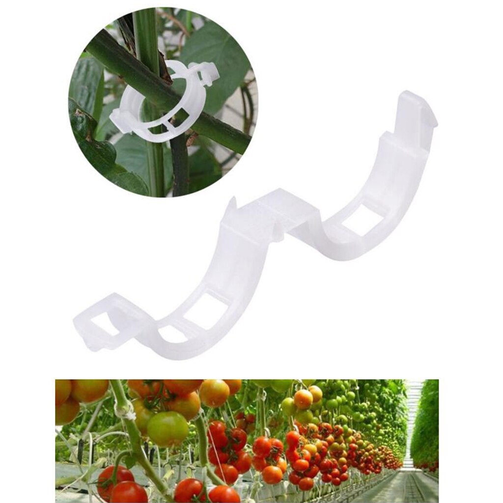 100x Greenhouse Trellising Kits Tomatoes Trellis Clips Clamps For