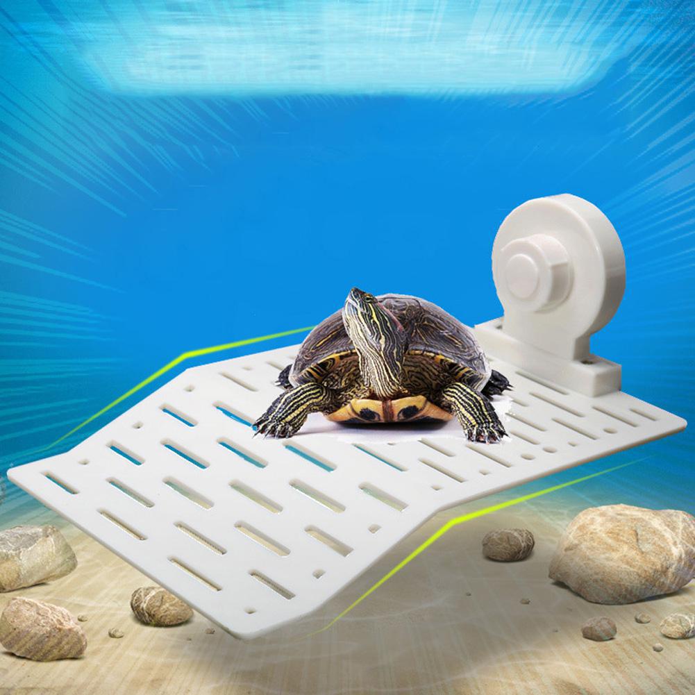 Plataforma de secado de Reptiles, isla flotante con taza de succión para decoración de pecera de acuario