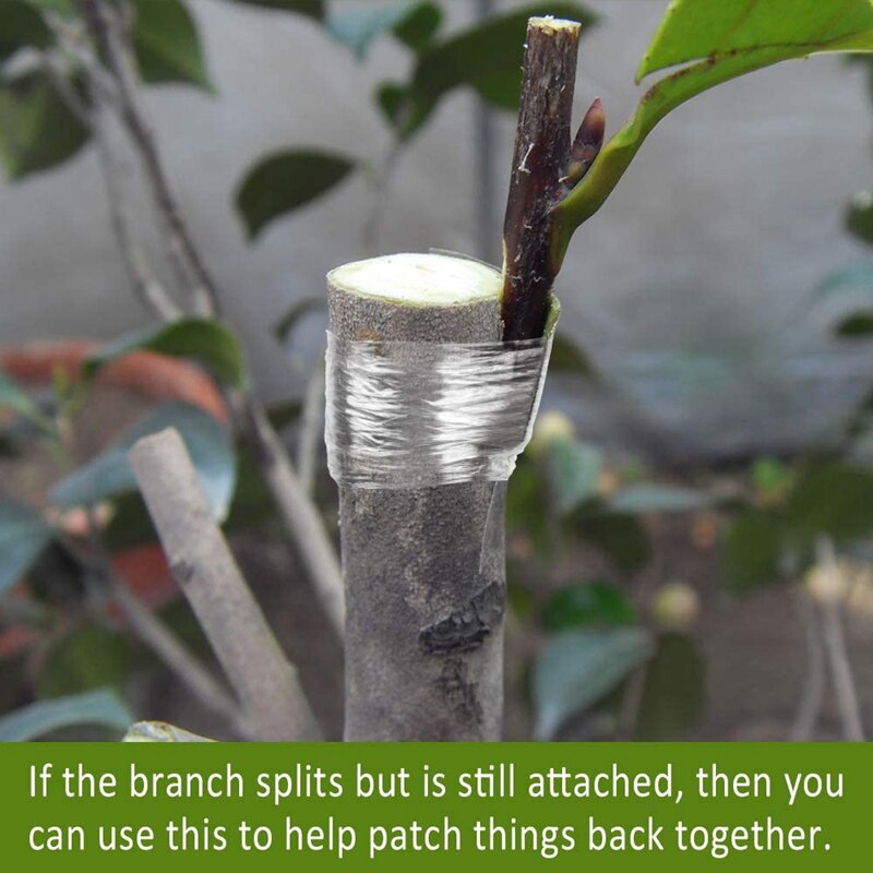 10 Roll Grafting Tape for Fruit Plant Tree Nursery Biodegradable Moisture Barrier Stretchable Clear Floristry Film 3cm
