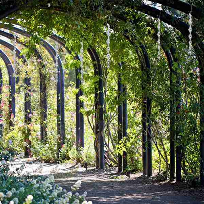 6Pcs/Set Bird Repellent Reflective Scare Rods, Effective Hanging Bird Repellent Devices to Keep Birds Away