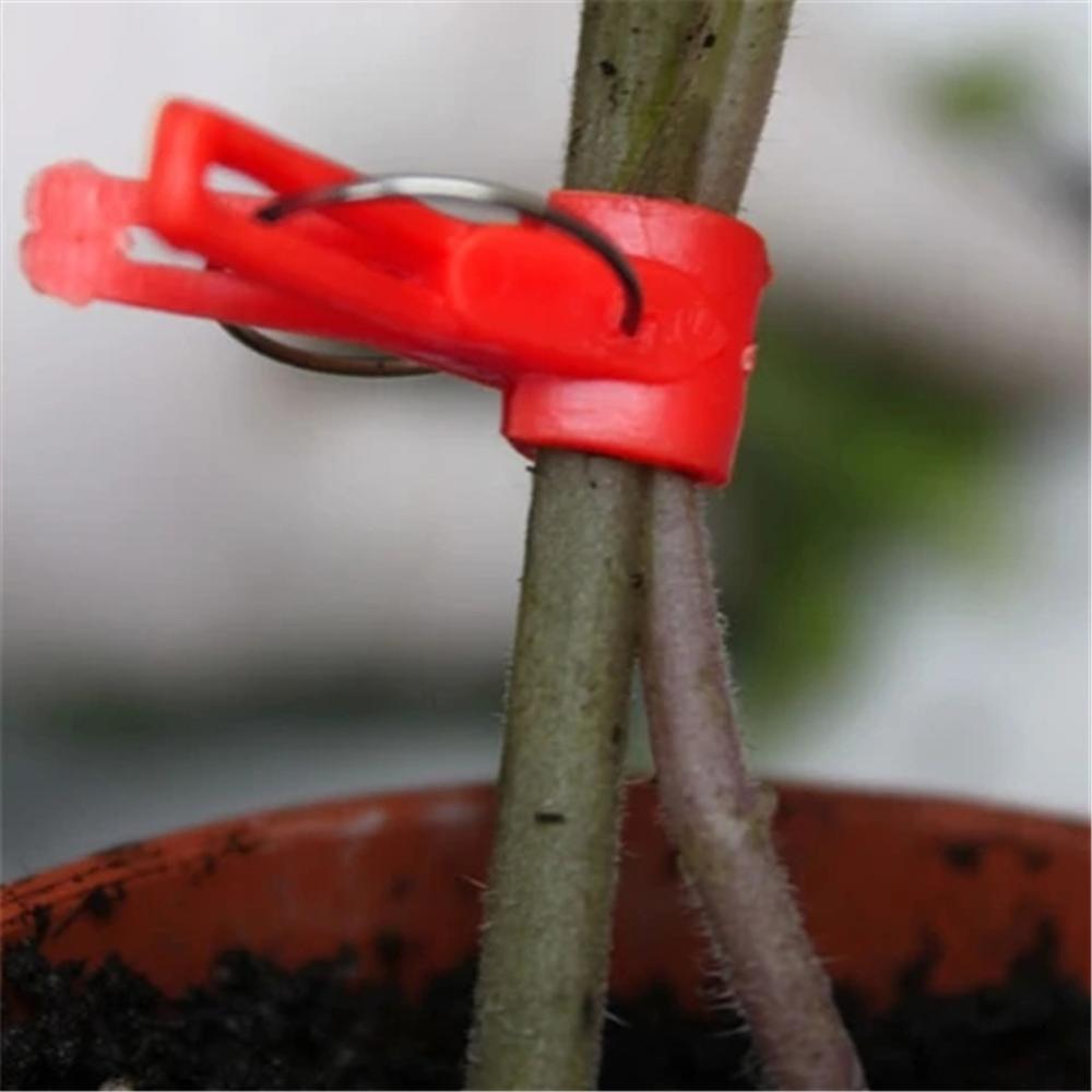 200pz Di Plastica innesto Innesto clip di Pianta Da Giardino Supporto per la Verdura Fiore di Pomodoro Steli aggiustare Crescere in Posizione Verticale Strumento Innesto
