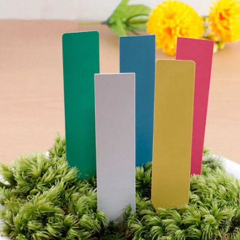 Boom Vruchten Zaailing Tuin Bloempot Plastic Tags Teken Herbruikbare Pvc Planten Tag Labels Classificatie Planten Naam Kaart 100 Stuks