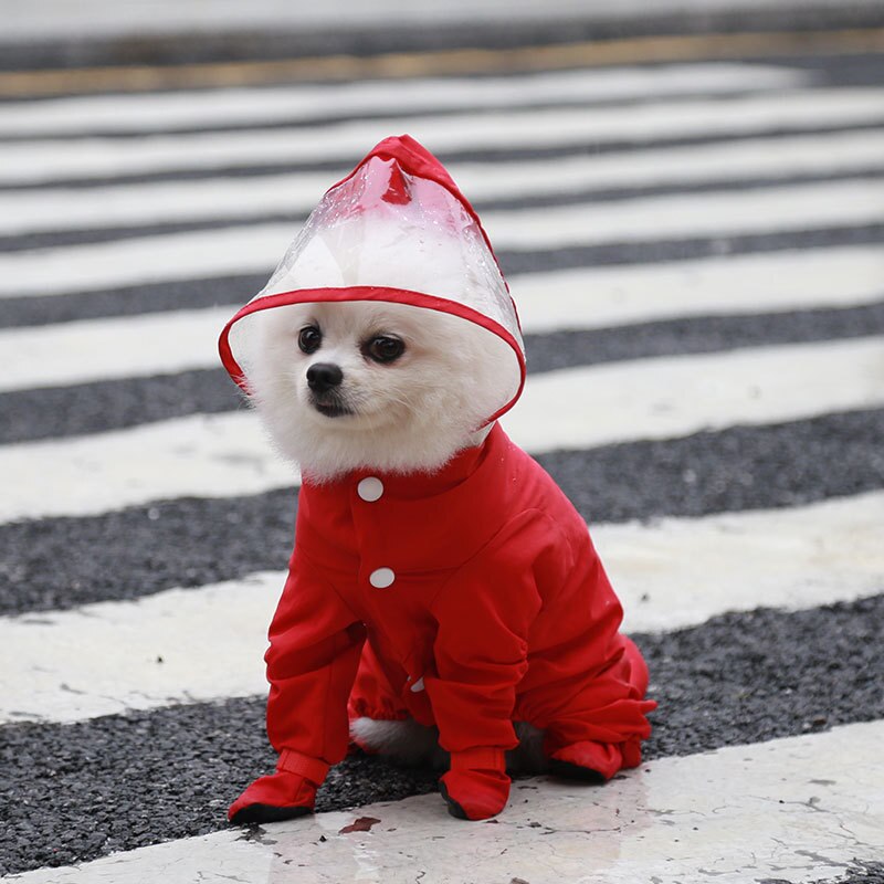 Full-Cover Hond Regenjas Een Stuk Waterdichte Hond Rainboot Kleding Voor Kleine Honden Yorkie Kostuum Puppy Jumpsuit Huisdier regent Jas: Red / Xl
