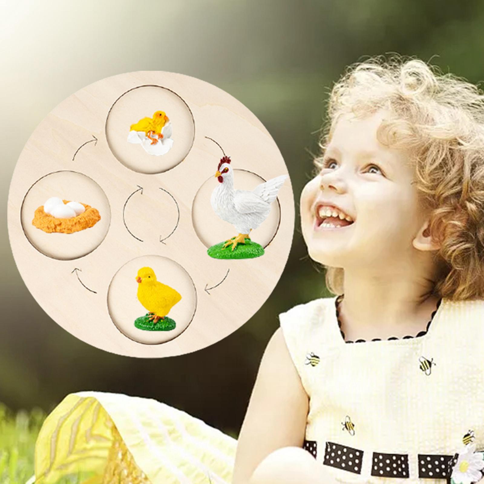 Montessori Life Growth Cycle Board Puzzle do zabawy dla dzieci zwierzęta wczesna edukacja prezenty zabawka na prezenty przedszkole 3 4 5 6 lat dzieci: Hen