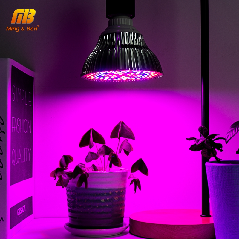 Lampe horticole de croissance UV/IR, 5/10/30/50/80W, spectre complet, pour culture hydroponique de plantes et légumes