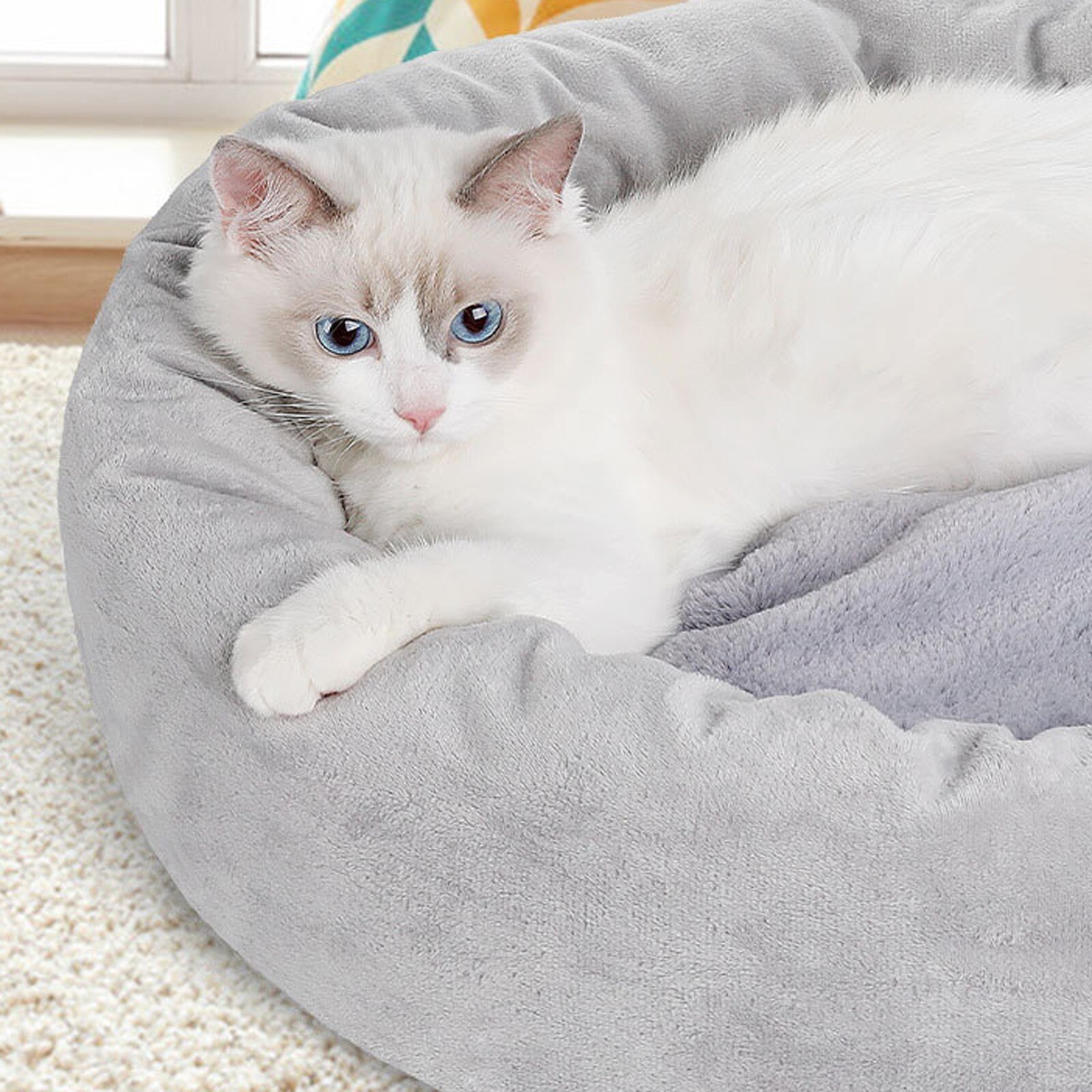 Doux rond en peluche hiver chien lit litière chat lit chiot coussin Chihuahua Teddy petit chien maison lit pour animaux de compagnie pour chiens chat # G30