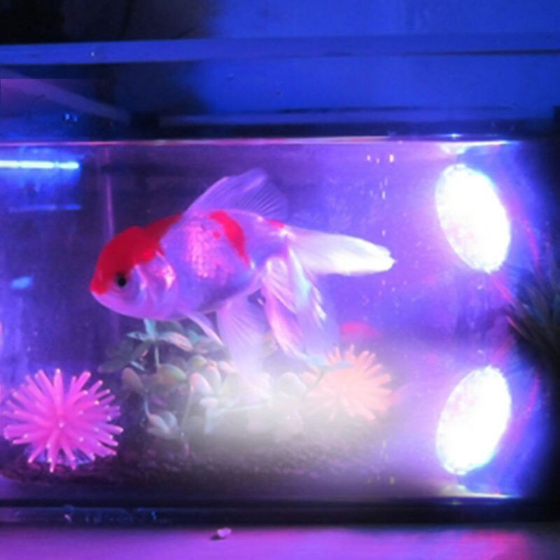 2in1 36LEDs Underwater Submersible Fish Tank Garden Pond Pool Fountain Aquarium Spot Light Submersible Landscape Lamp waterproof