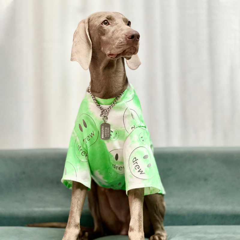 Grote Hond Kleding Hond Zonnebrandcrème Pak Golden Retriever Labrador Doberman Ademend Lente-Zomer Hond Kleding Hond Accessoires