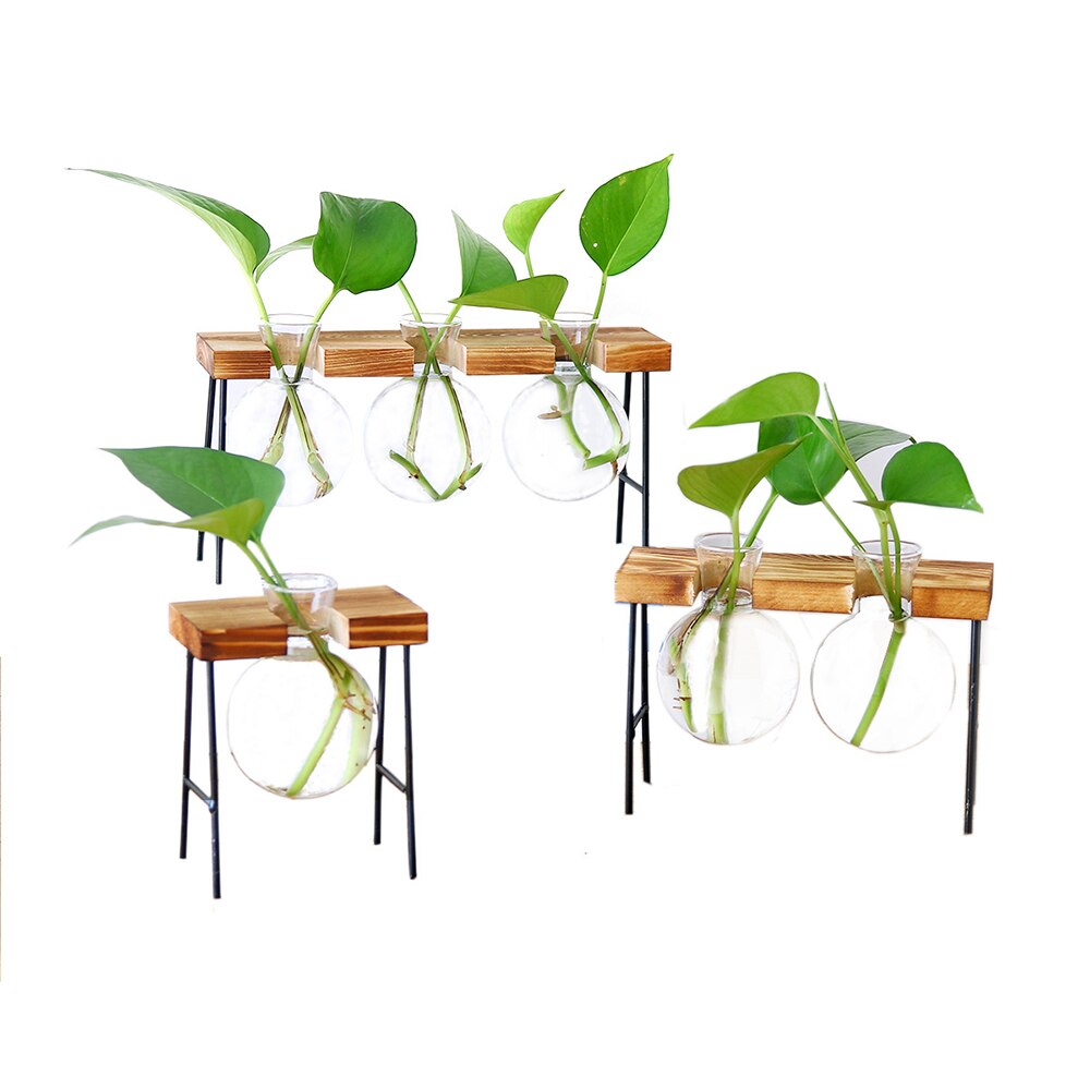 Træramme glasvase cricle form hydroponisk plante vase vintage blomsterpotte bord desktop bonsai blomstervase boligindretning