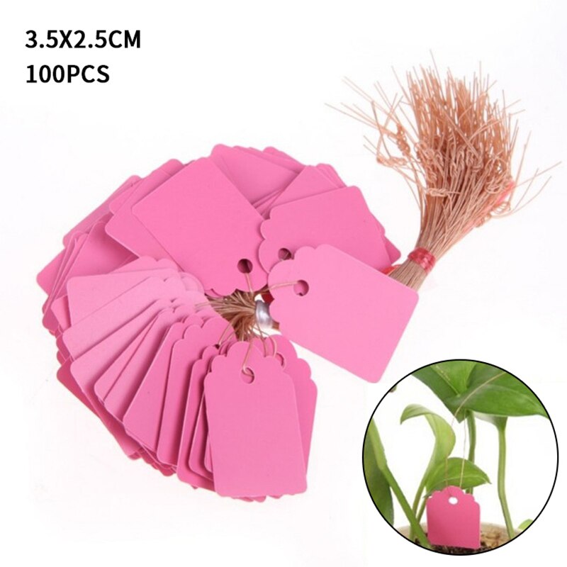 Coloré Étiquettes De Plantes Pépinière Étiquette pendaison arbre Marqueurs semis plantent des arbres fruitiers signes rapide carte outil de classement: pink