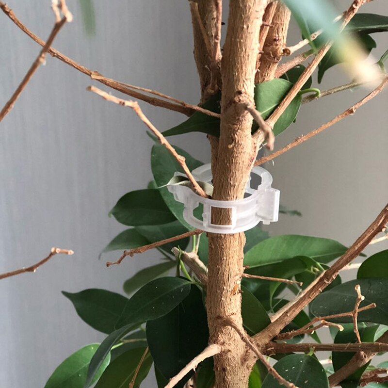 Groente bevestigingsclip tuinrek tomatenclips ondersteunt/verbindt planten/kooien plant wijnstok tomaat/touw/wijnstokken rek