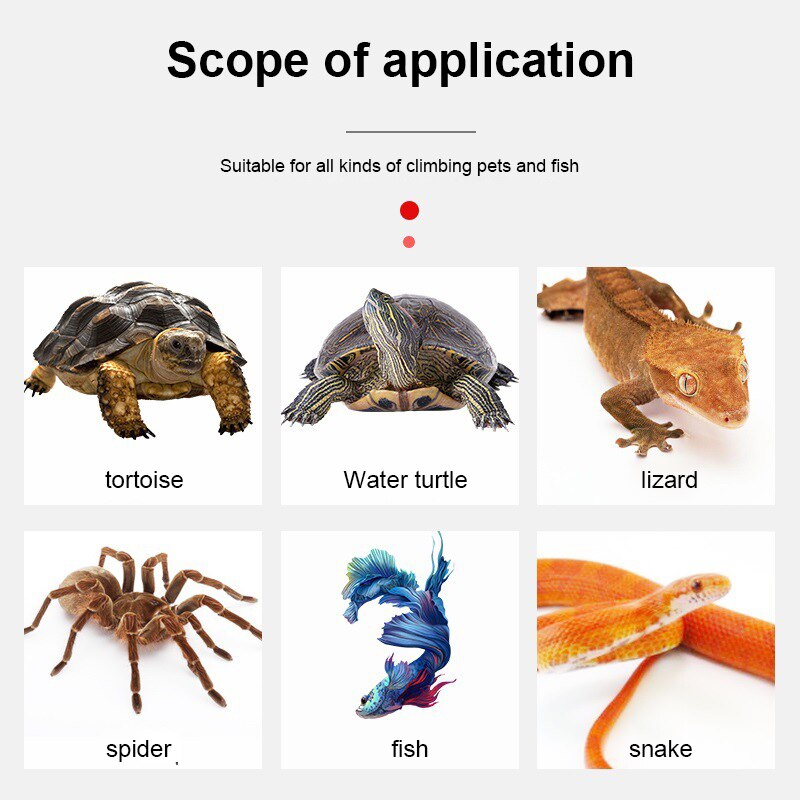 Tappetino riscaldante USB tappetino riscaldante per animali domestici con termoregolatore interruttore Timer regolabile tappetino riscaldante temperatura incubatore