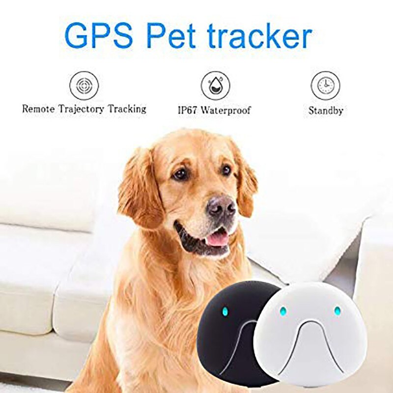 Image showcasing Pet Tracker Waterproof Dog GPS Collar WiFi Realtim... – Vicedeal
