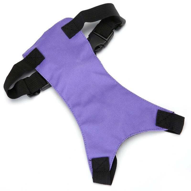 Super Licht Hondenriem Teddy Corgi Borst Harnas Hond Borst Terug Hond Autogordel Outdoor Reizen Dierbenodigdheden Arnes perro