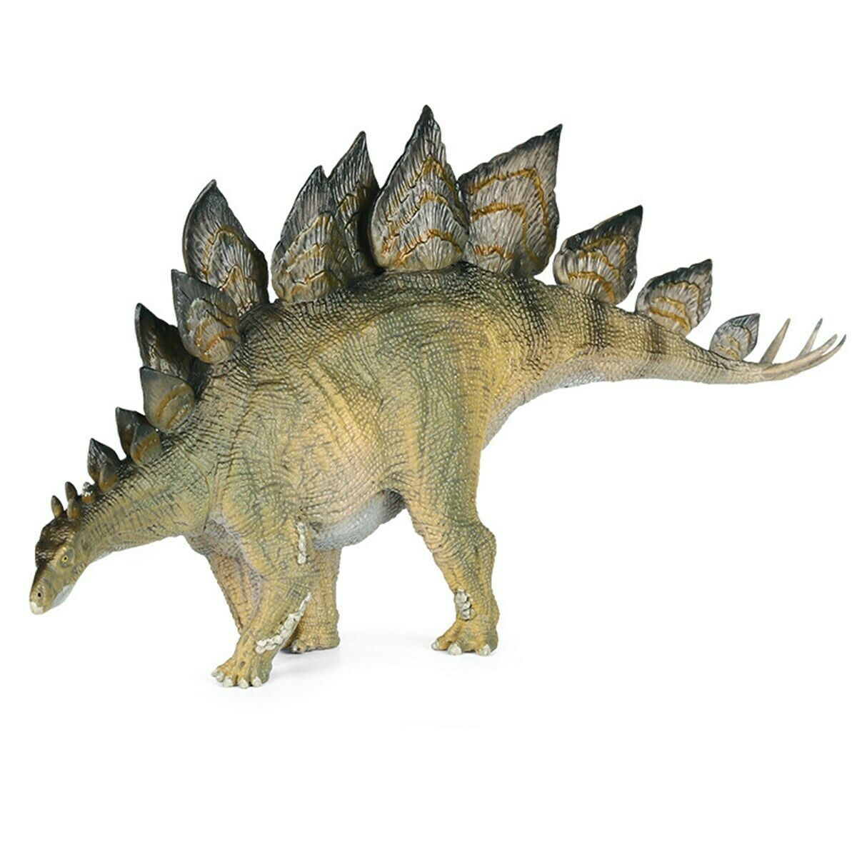 Simulatie Stegosaurus Model Plantenetende Dinosaurussen Stegosauridae Dier Collector Decor Speelgoed Dinossauro Model Speelgoed Voor Kinderen