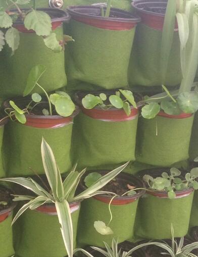 Pocketgarden Hanging Plant Pots Wall Pot Vertical Garden Flower Pots and Planter Hanging Pots Planter garden supplies: 9 round pockets