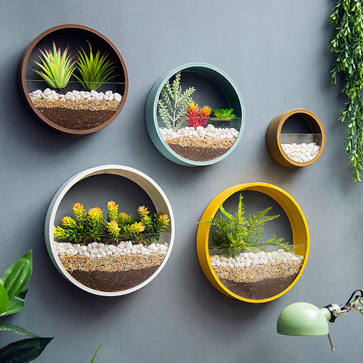Vase mural rond en fer moderne | Décor mural suspendu pour maison salon Restaurant Pot de fleurs plantes succulentes Vases en verre d'art